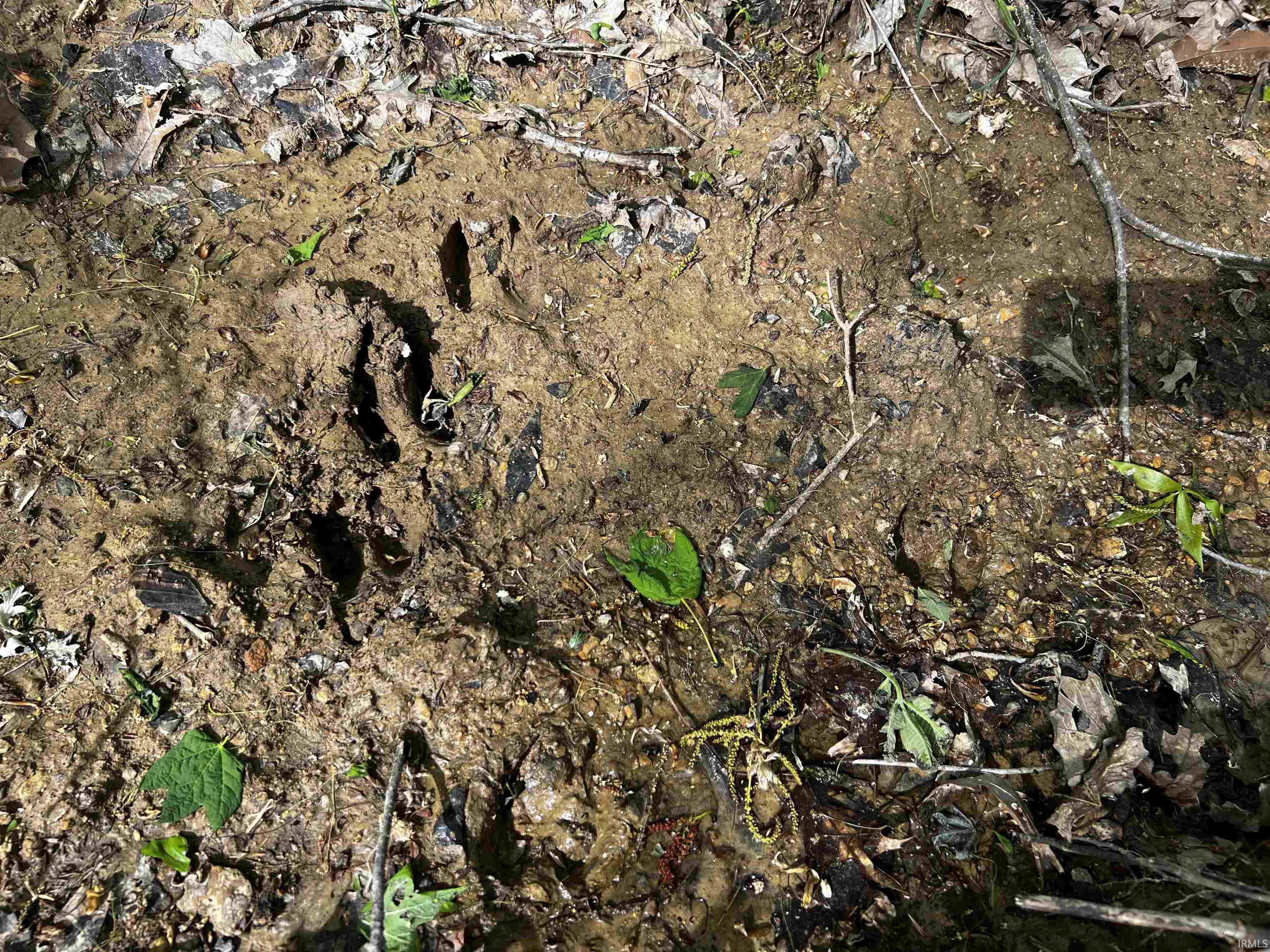 Boyd Road Tell City, IN 47586 - Photo 8 of 33