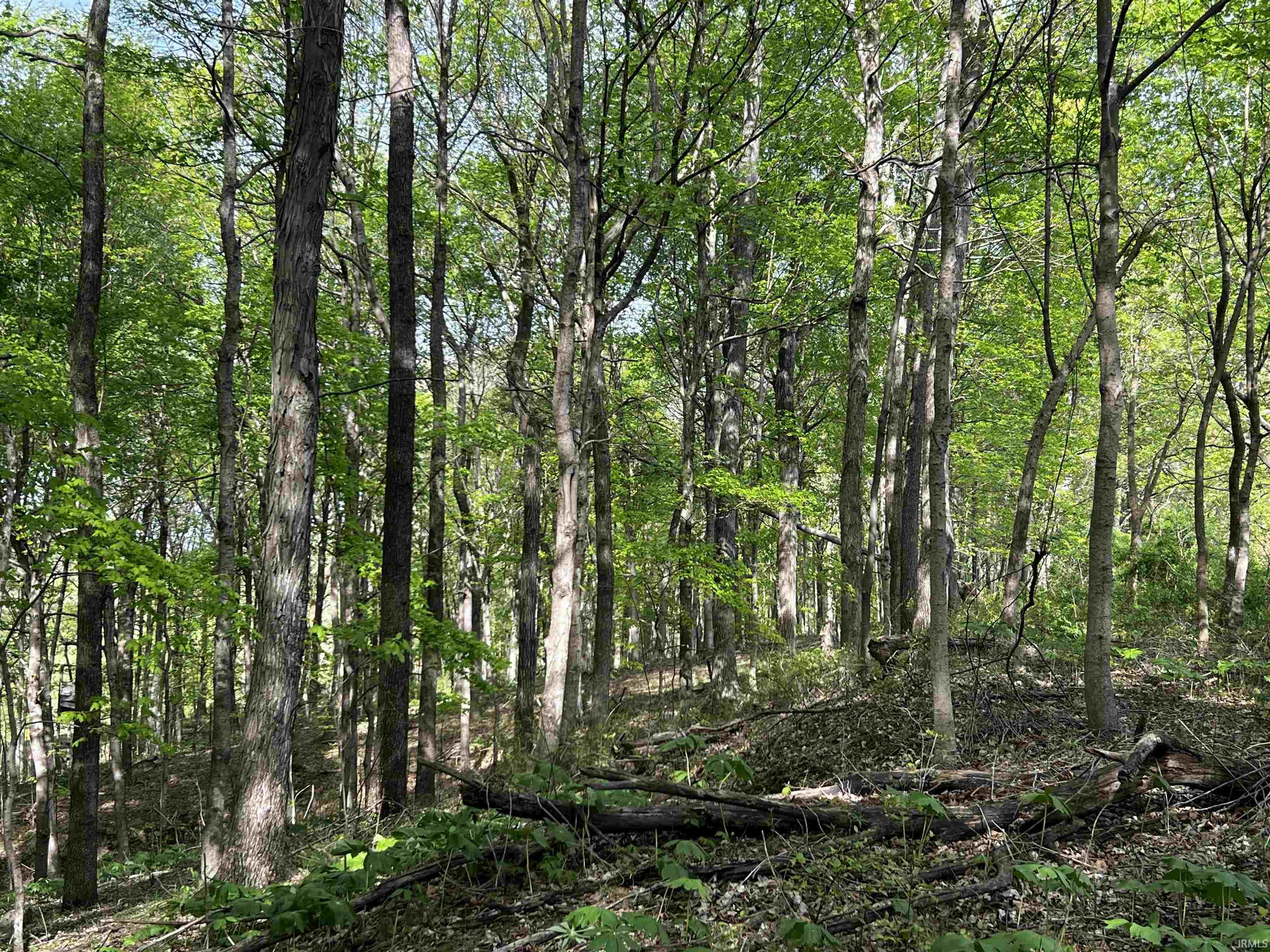 Boyd Road Tell City, IN 47586 - Photo 9 of 33