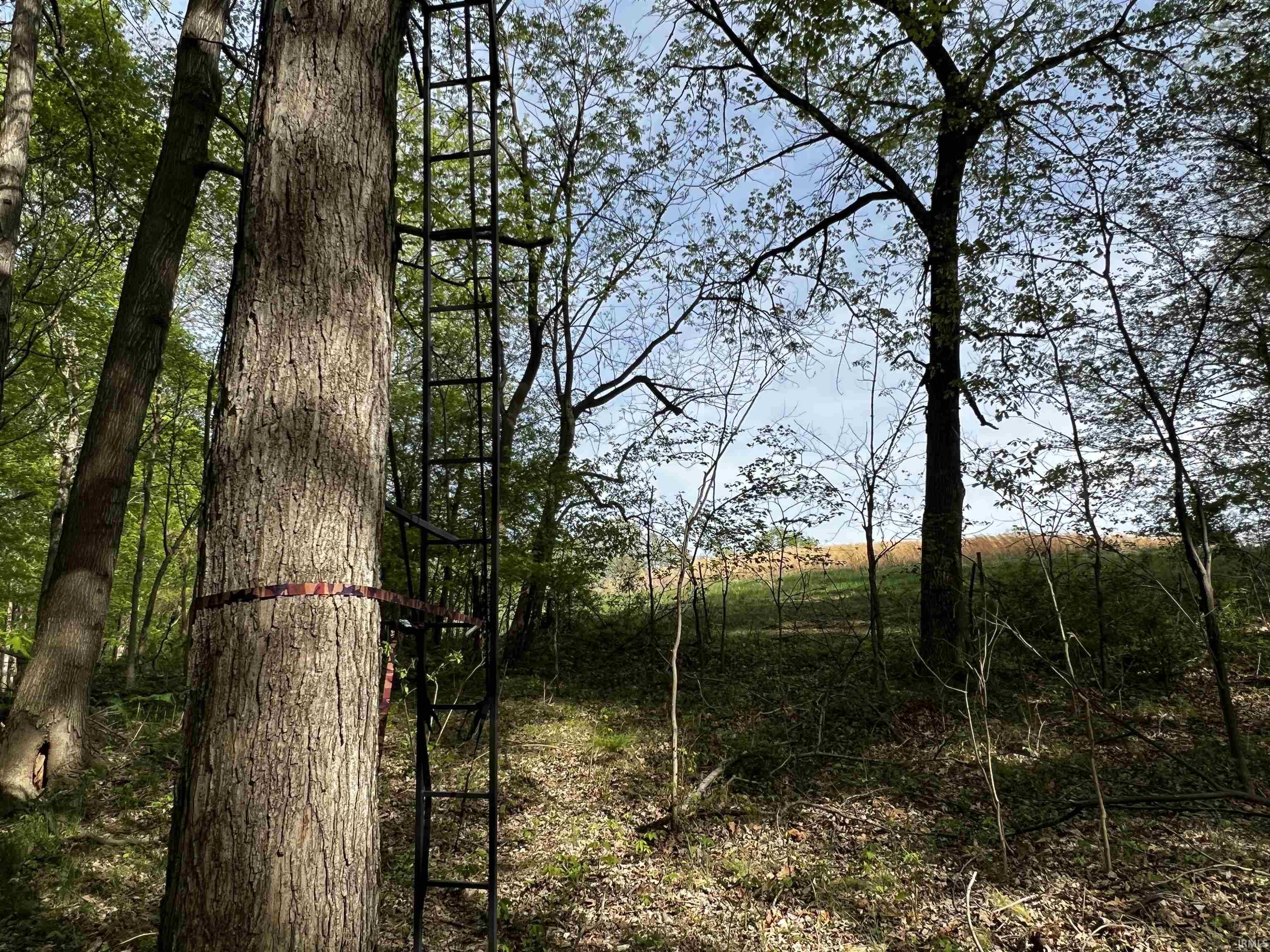 Boyd Road Tell City, IN 47586 - Photo 10 of 33