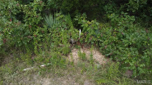 $29,900 | 0 Singer Trail, Potosi, MO 63664