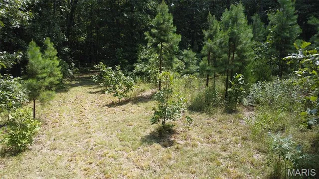 $29,900 | 0 Singer Trail, Potosi, MO 63664