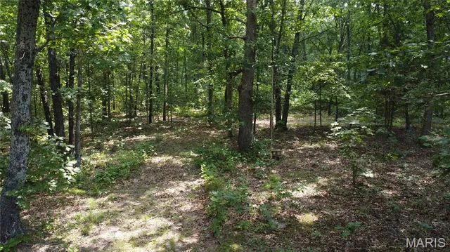 $29,900 | 0 Singer Trail, Potosi, MO 63664