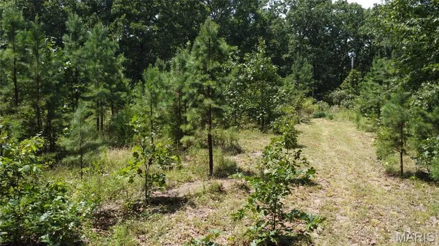 $29,900 | 0 Singer Trail, Potosi, MO 63664