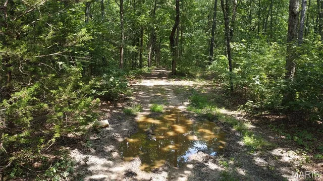 $29,900 | 0 Singer Trail, Potosi, MO 63664