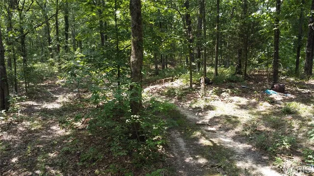 $29,900 | 0 Singer Trail, Potosi, MO 63664