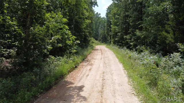 $29,900 | 0 Singer Trail, Potosi, MO 63664