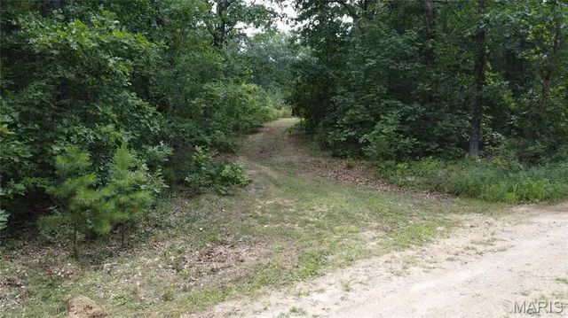$29,900 | 0 Singer Trail, Potosi, MO 63664