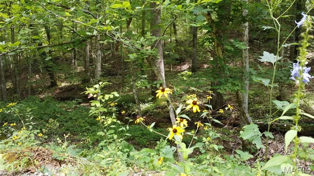 $29,900 | 0 Singer Trail, Potosi, MO 63664