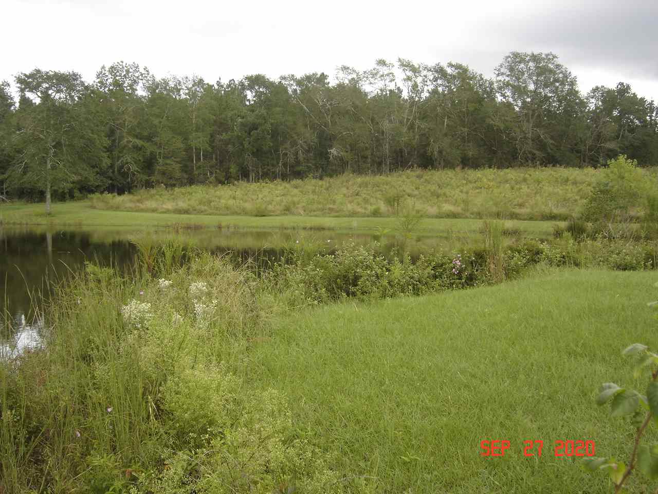49-acres - Messick Loop Andalusia, AL 36421 - Photo 11 of 30 Gallery Image 11