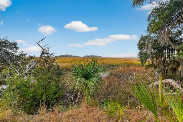 $559,000 | 3317 Julienton Drive Northeast, Townsend, GA 31331