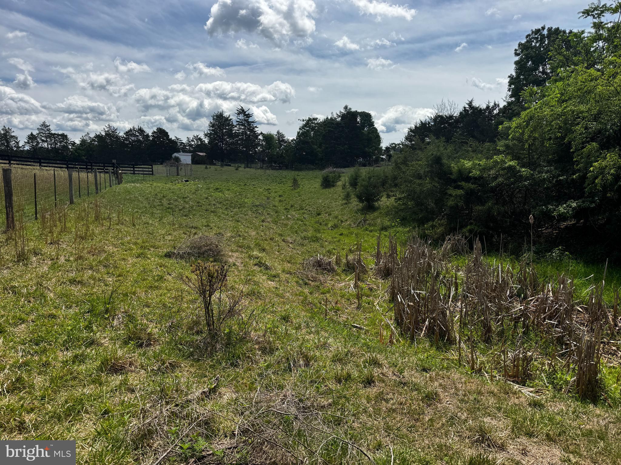 140 Huttle Road Stephens City, VA 22655 - Photo 3 of 20 Land