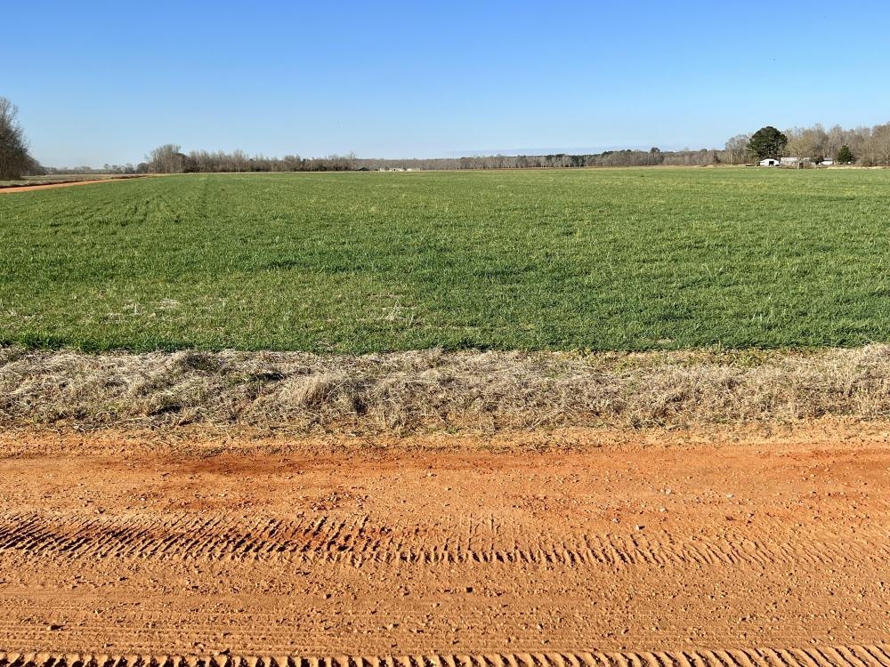 0 Byrd Road Atmore, AL 36502 - Photo 19 of 27