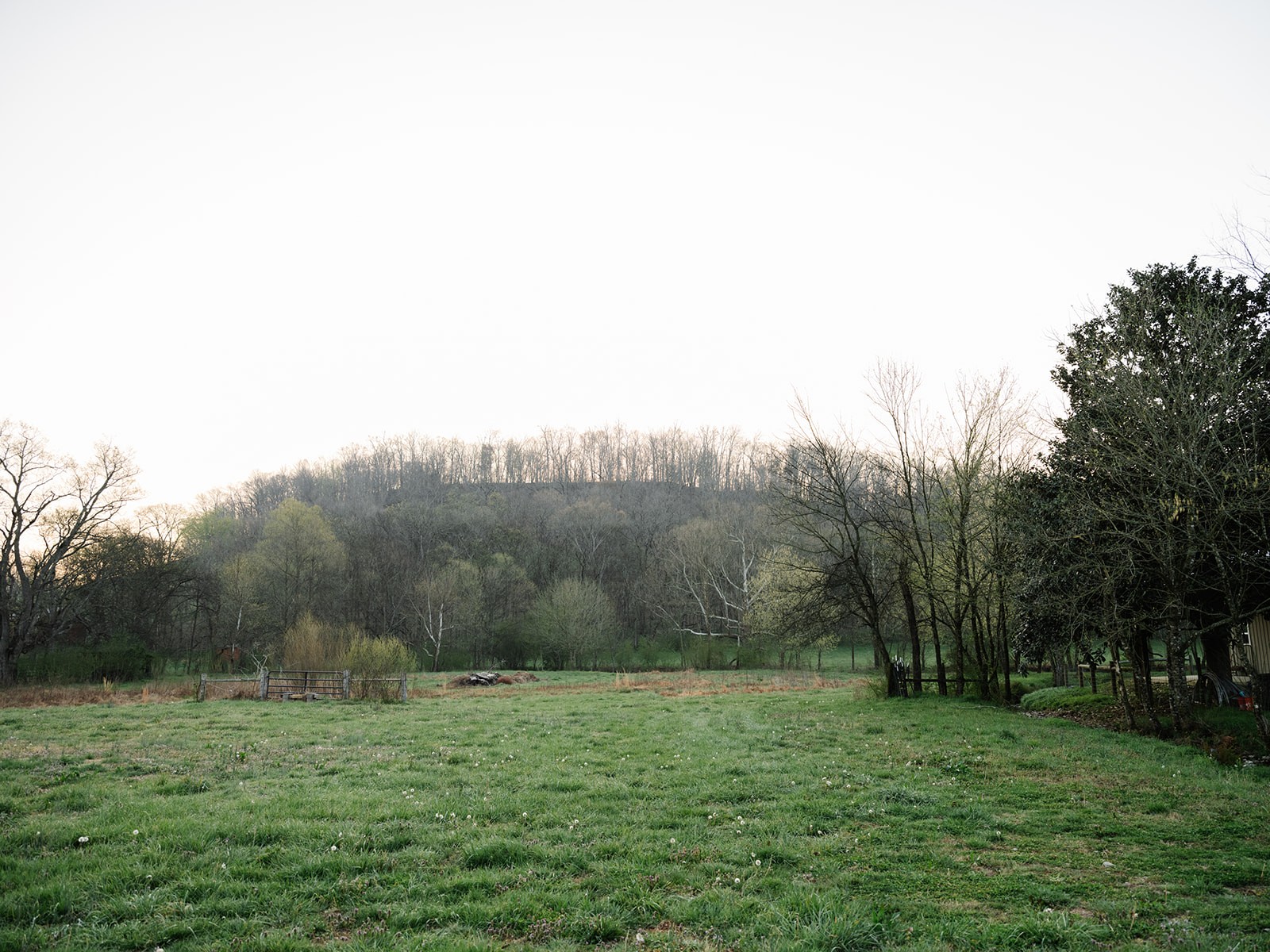 5545 Beech Hill Road Pulaski, TN 38478 - Photo 3 of 49