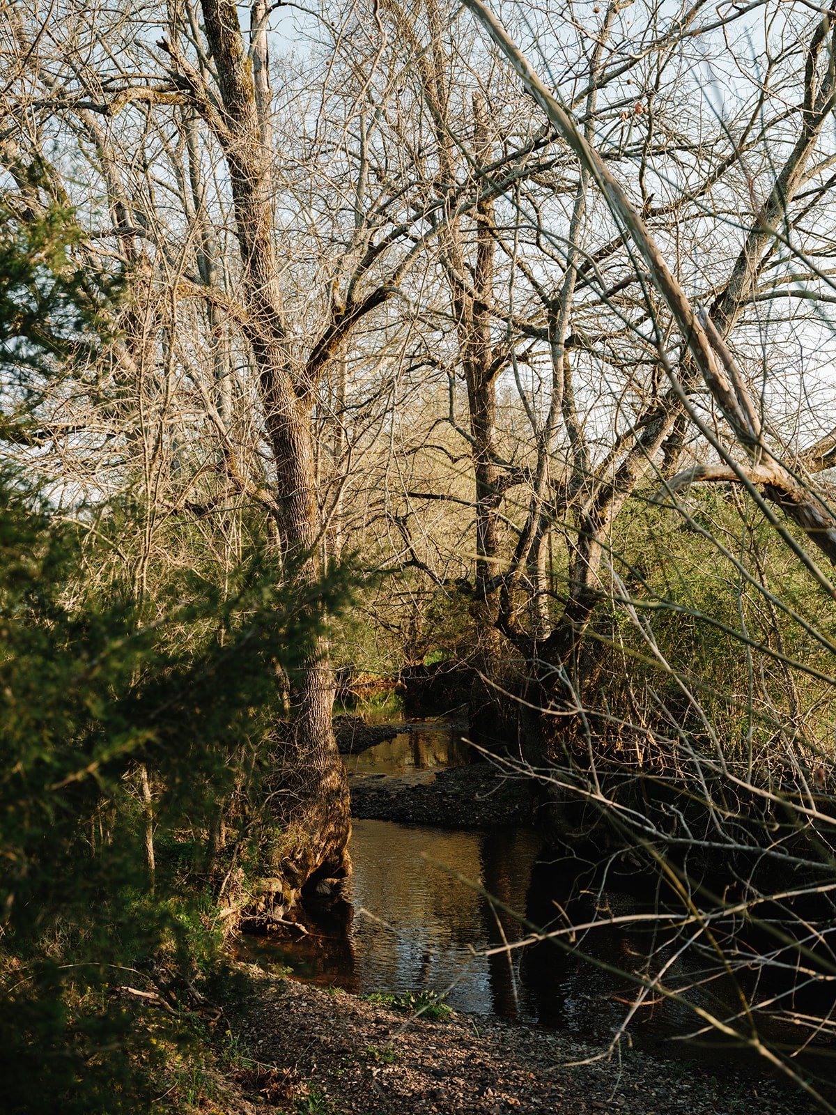 5545 Beech Hill Road Pulaski, TN 38478 - Photo 41 of 49