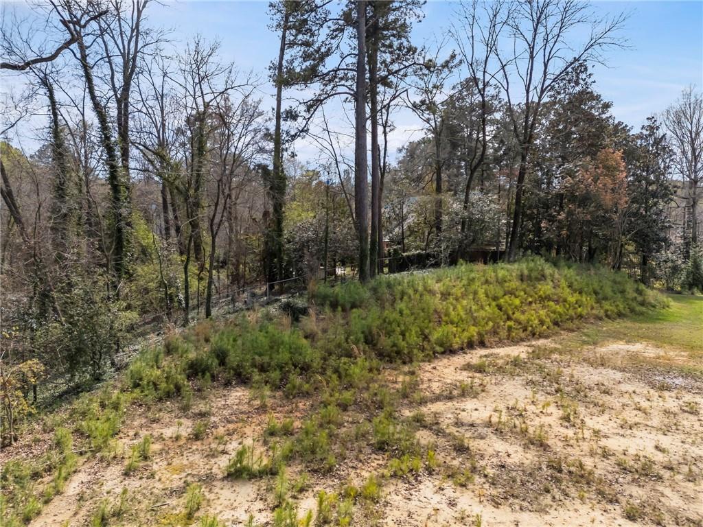4931 Rebel Trail Atlanta, GA 30327 - Photo 11 of 30 a view of backyard with green space