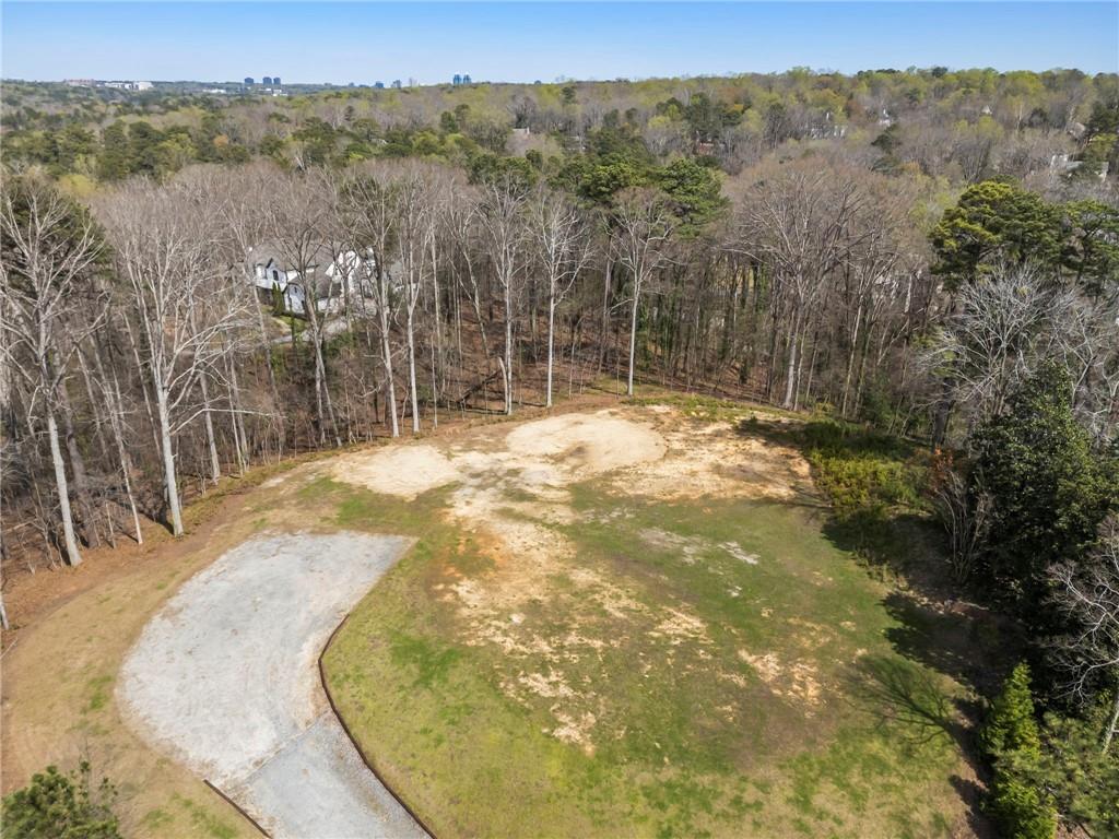 4931 Rebel Trail Atlanta, GA 30327 - Photo 27 of 30 a view of a yard with a trees