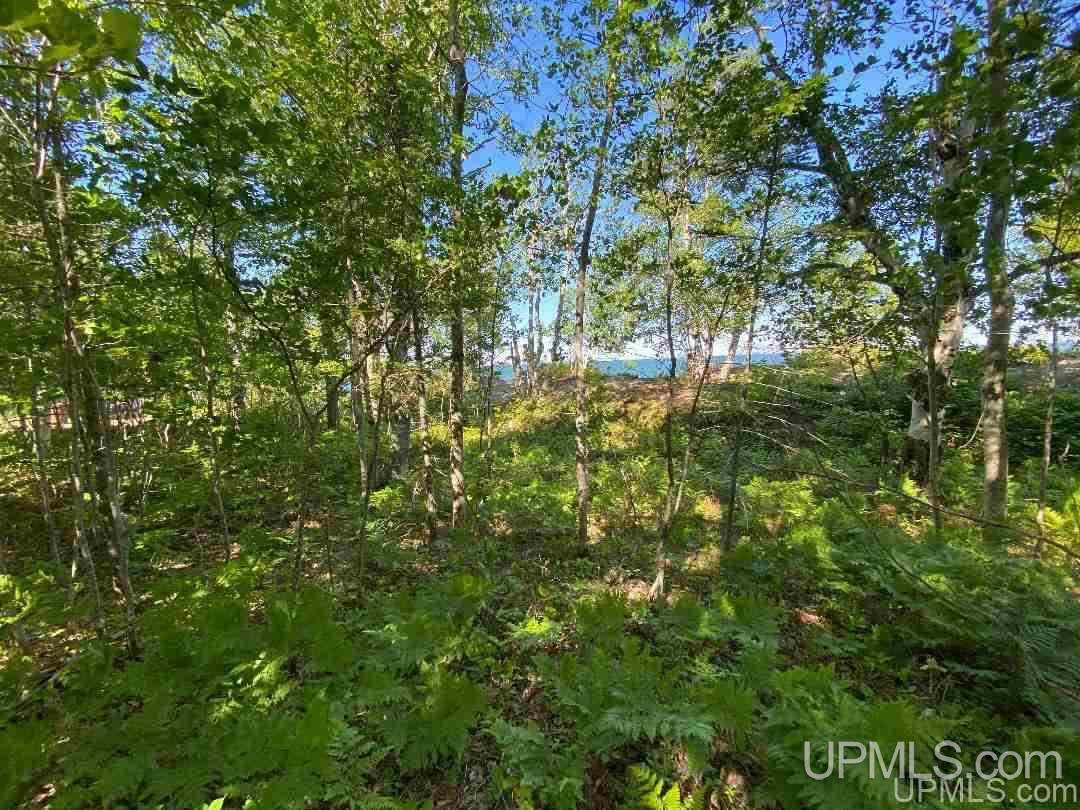 Tbd Sedar Bay Road Calumet, MI 49913 - Photo 8 of 16