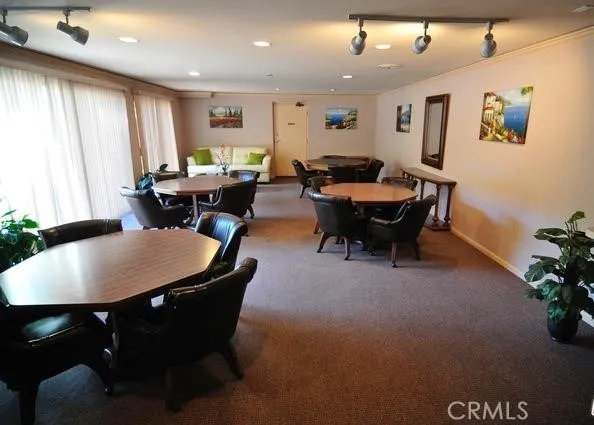 a living room with furniture a window and a potted plant