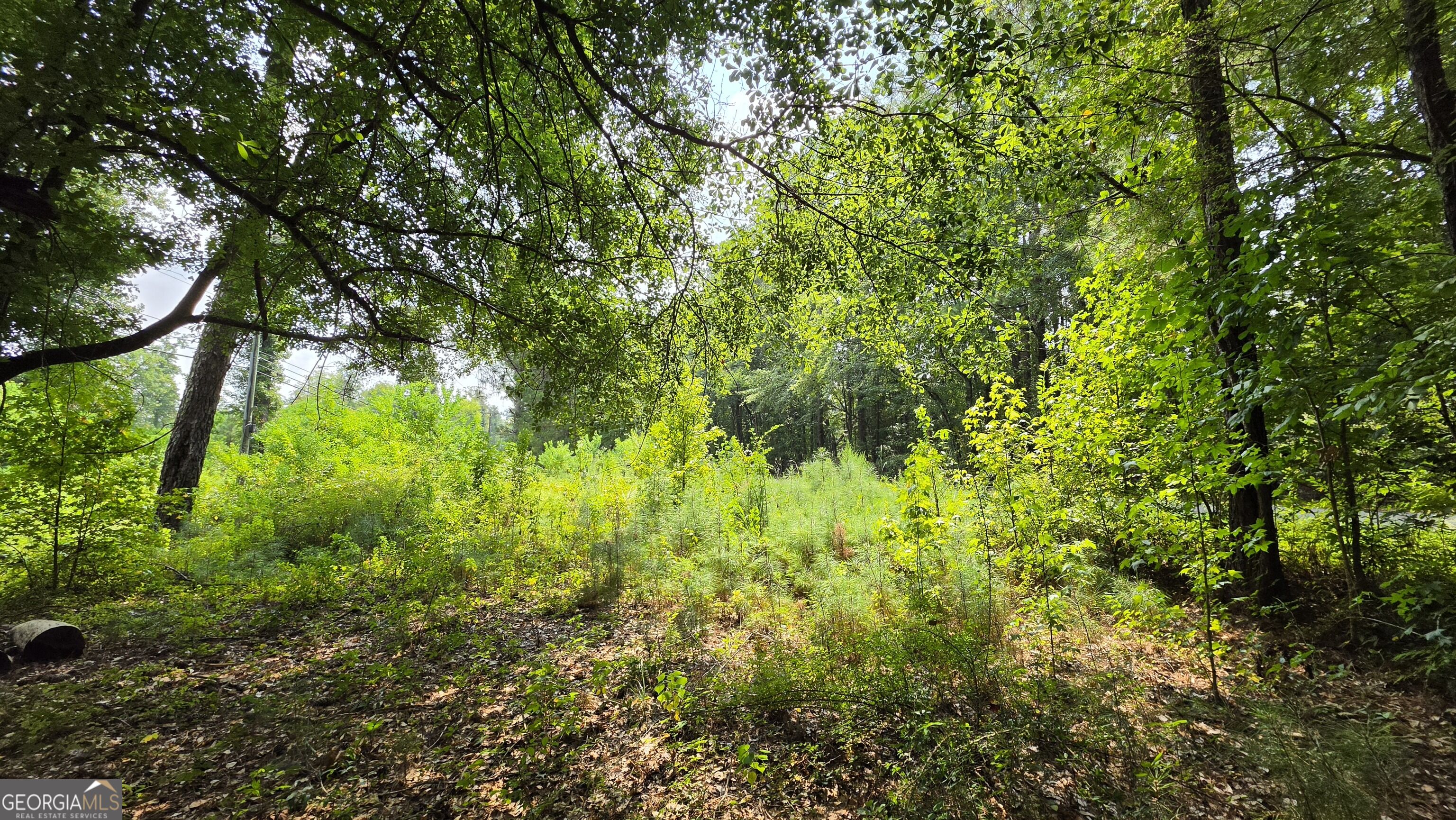 7127 New Forsyth Road Juliette, GA 31046 - Photo 9 of 12 Gallery Image 9