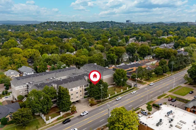 a view of a street with a large tree