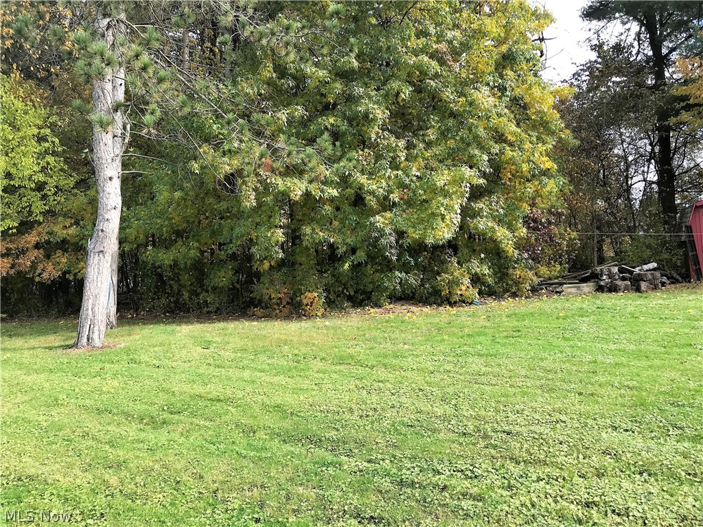 3175 Shellhart Road Norton, OH 44203 - Photo 7 of 13 Large treed lot.