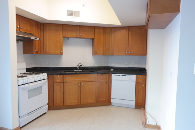 2322 South Canal Street, Unit 709 Chicago, IL 60616 - Photo 2 of 10