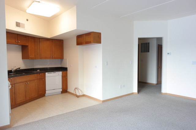 2322 South Canal Street, Unit 709 Chicago, IL 60616 - Photo 3 of 10