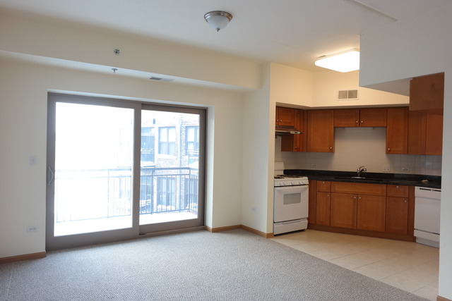 2322 South Canal Street, Unit 709 Chicago, IL 60616 - Photo 4 of 10