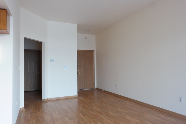 2322 South Canal Street, Unit 709 Chicago, IL 60616 - Photo 5 of 10