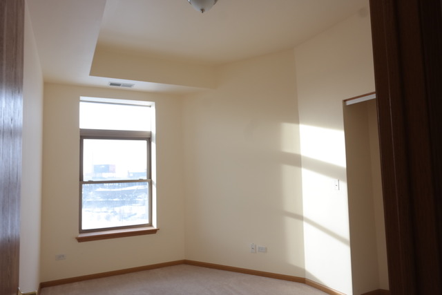 2322 South Canal Street, Unit 709 Chicago, IL 60616 - Photo 6 of 10