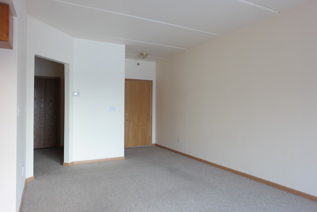 2322 South Canal Street, Unit 709 Chicago, IL 60616 - Photo 7 of 10