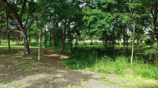 a backyard of a house with lots of green space
