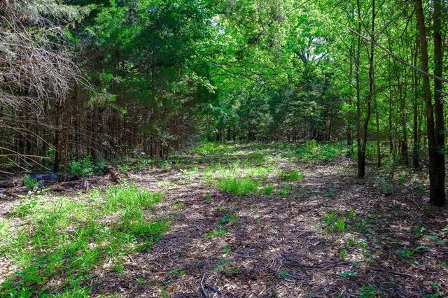 a view of backyard with green space