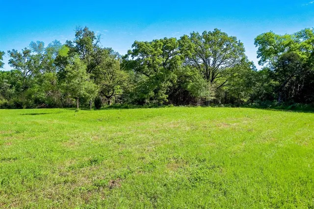 a view of a field with trees in the background
