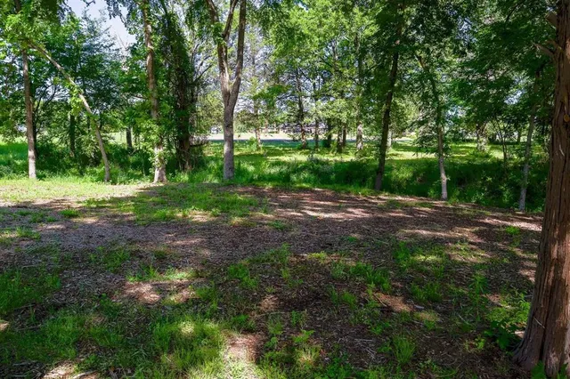 a view of backyard with green space