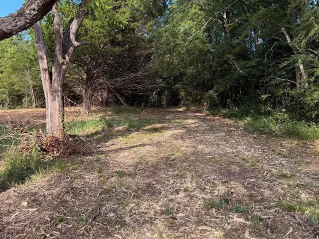 a view of backyard with green space