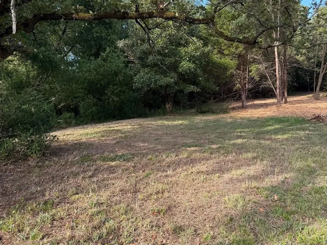 a view of outdoor space with trees