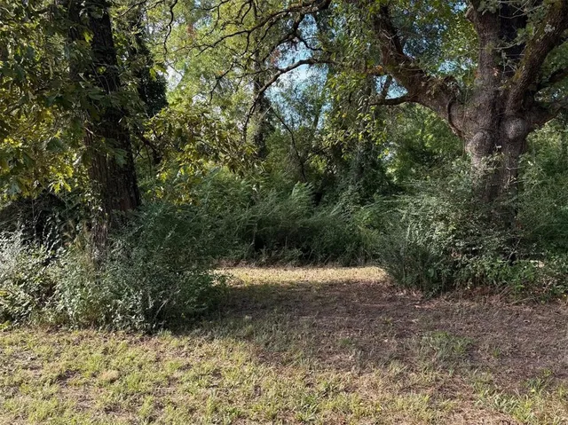 a view of outdoor space and yard