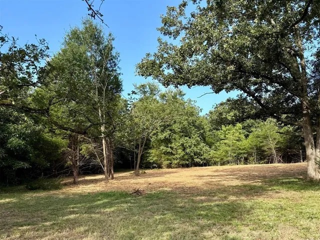 a view of a yard with a tree