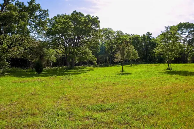 a park with trees in the background
