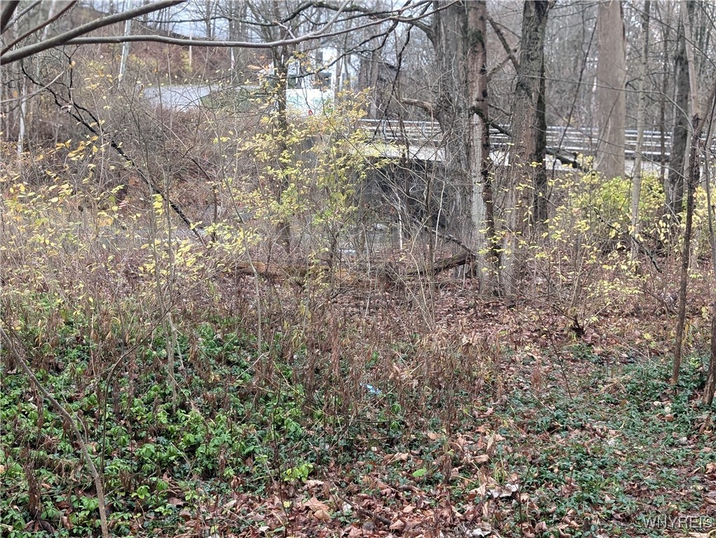 3831 Creek Road Yorkshire, NY 14030 - Photo 11 of 11