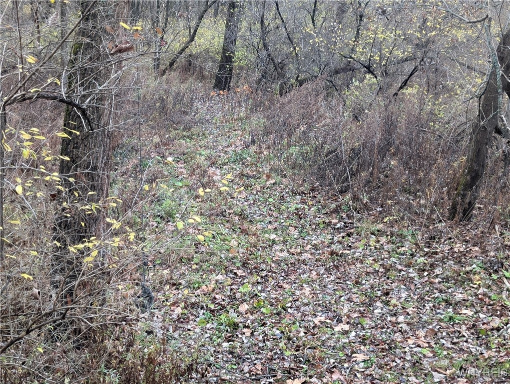 3831 Creek Road Yorkshire, NY 14030 - Photo 6 of 11