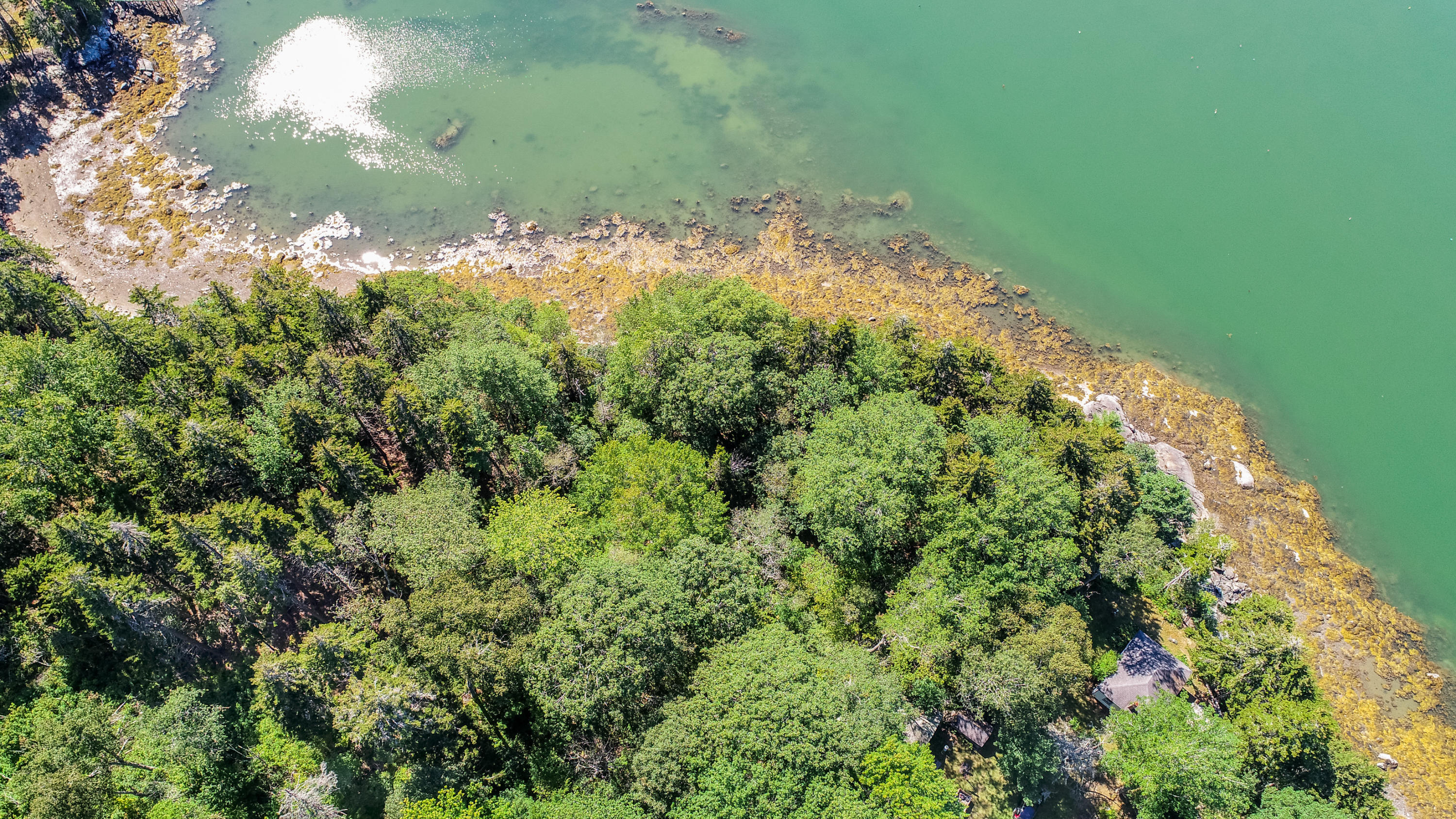 183 Snows Point Road Tenants Harbor, ME 04860 - Photo 22 of 34 SQFT-0180