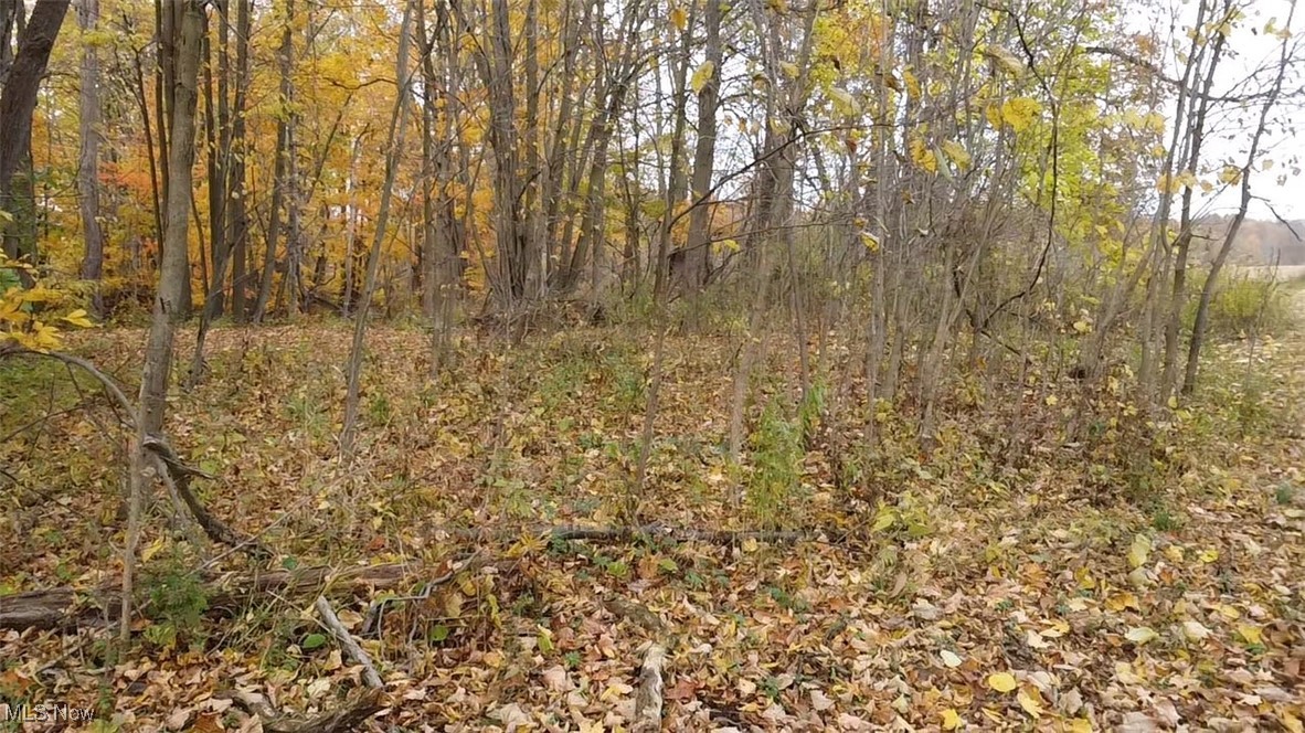 Vl Shaw Road Spencer, OH 44275 - Photo 20 of 28 View of landscape