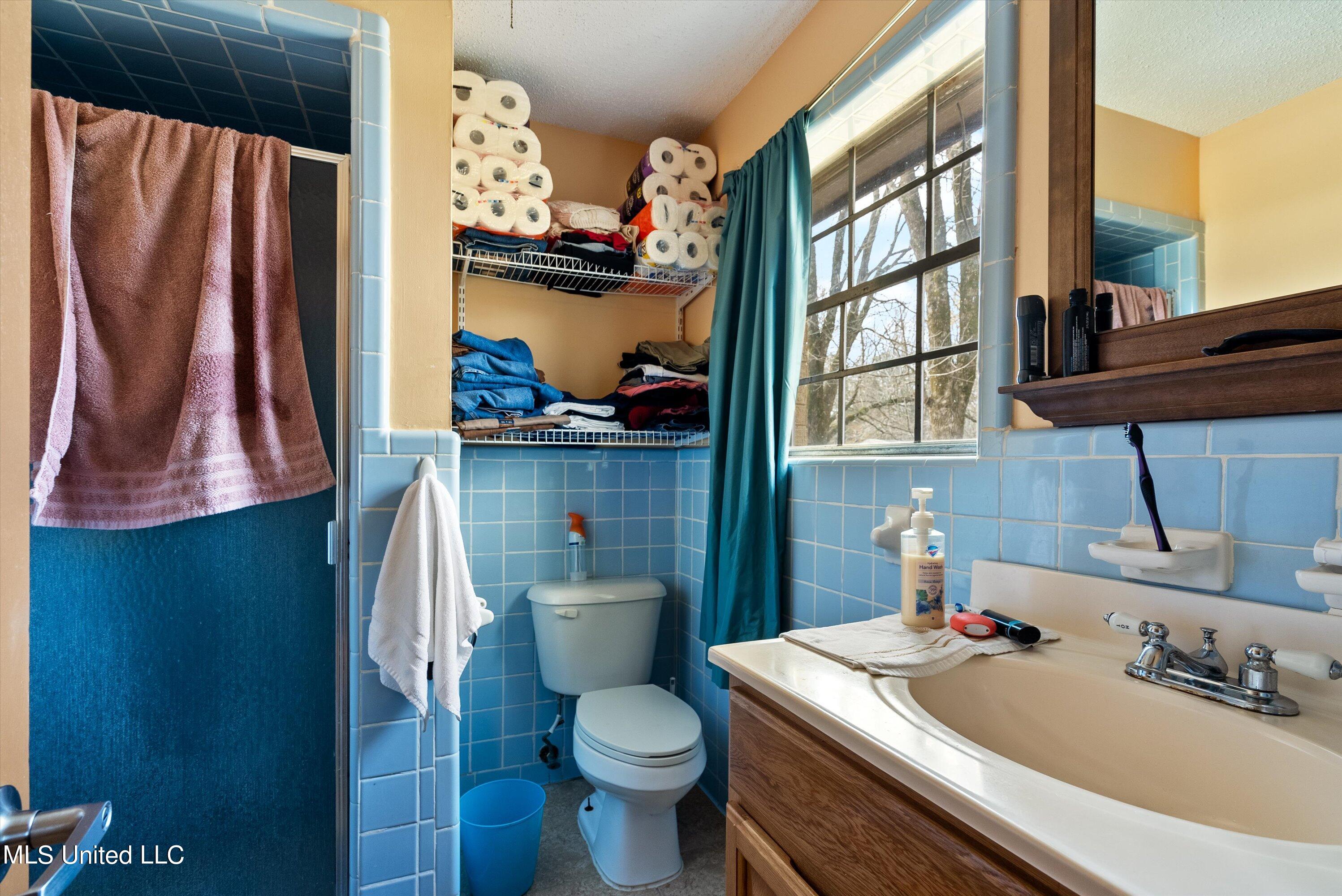 732 Victoria Road Byhalia, MS 38611 - Photo 17 of 22 17-Primary Bathroom