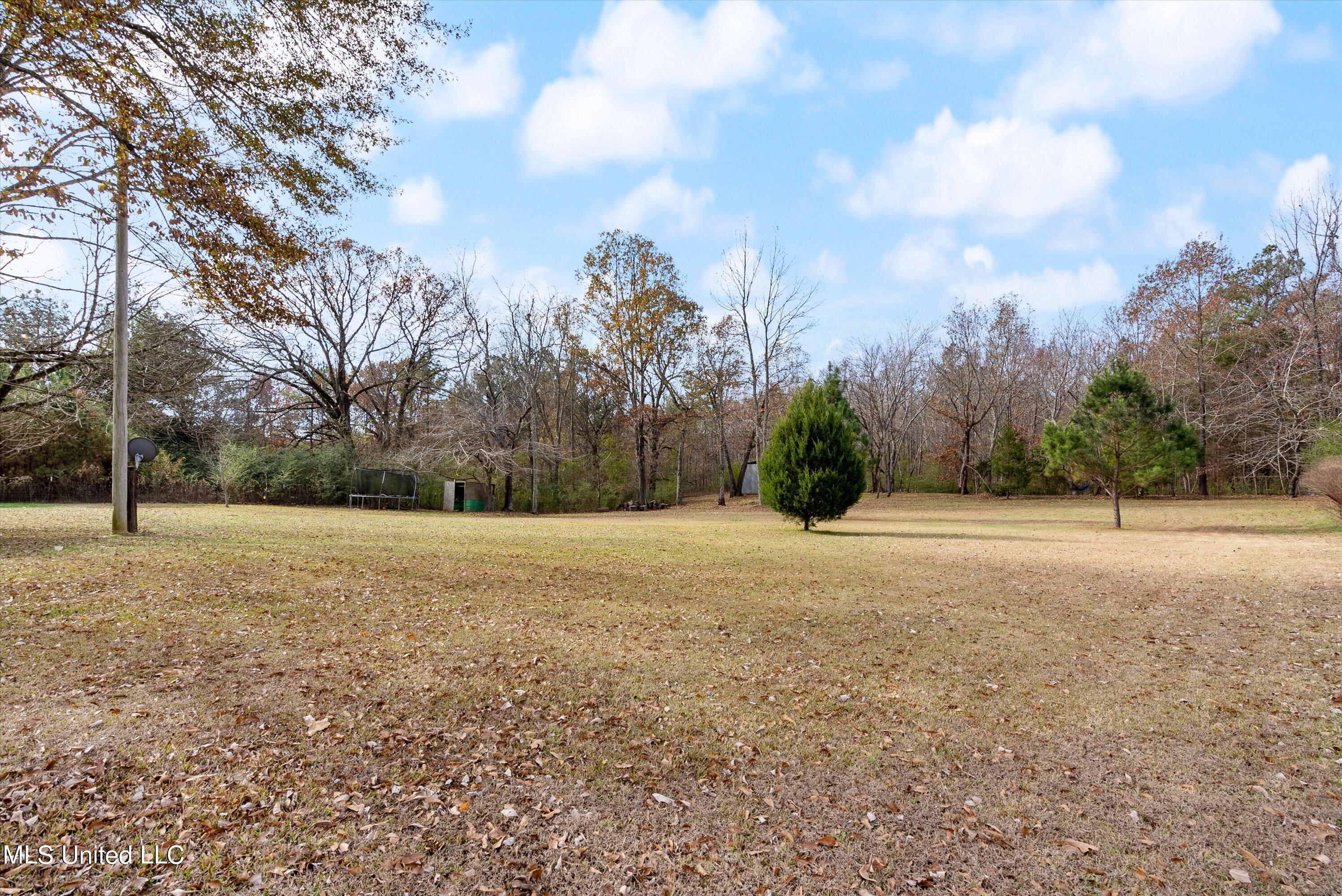 732 Victoria Road Byhalia, MS 38611 - Photo 22 of 22 22-Rear Yard