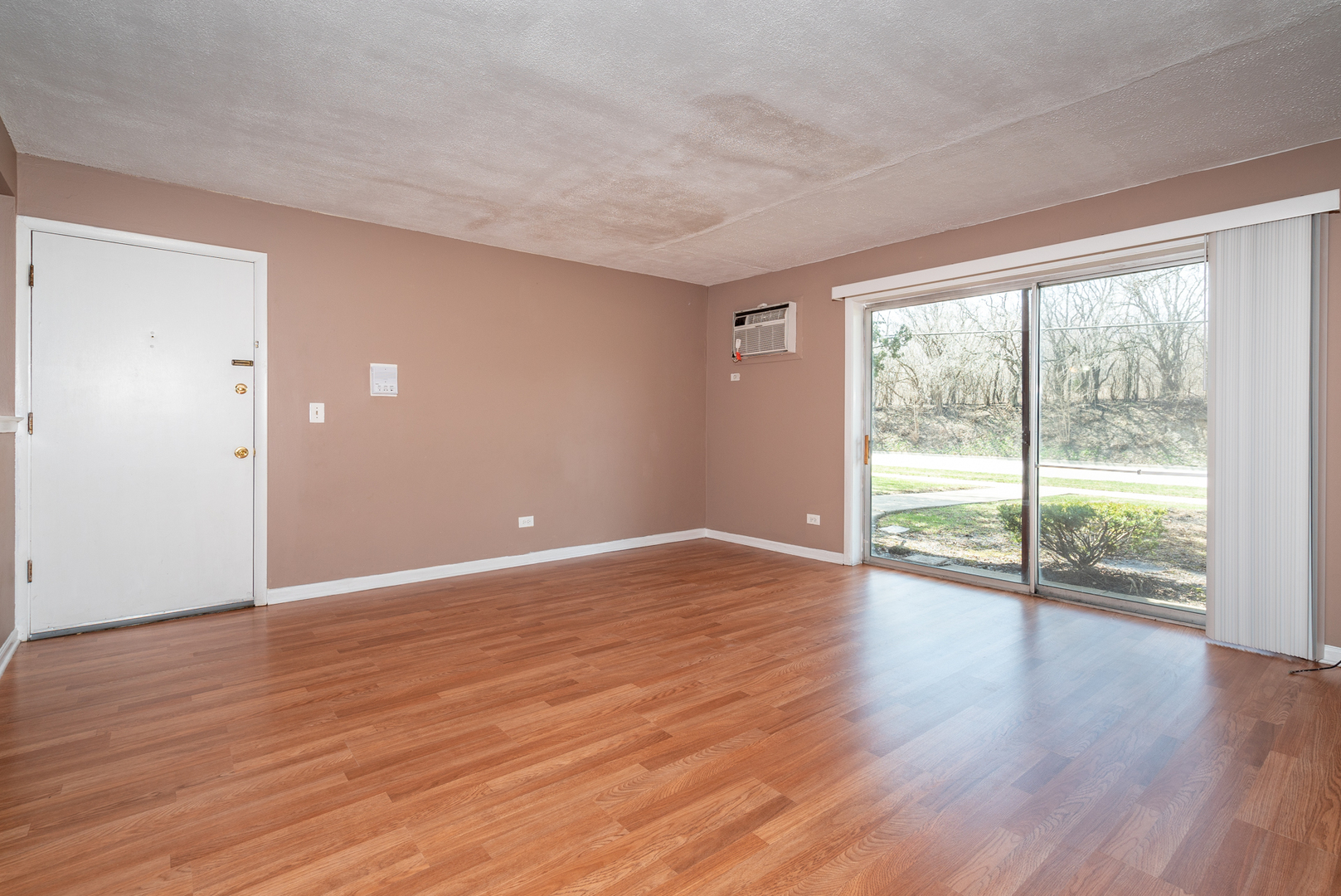 245 North Mill Road, Unit 1C Addison, IL 60101 - Photo 3 of 16
