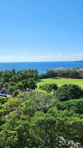 a view of a green field with lots of plants in it