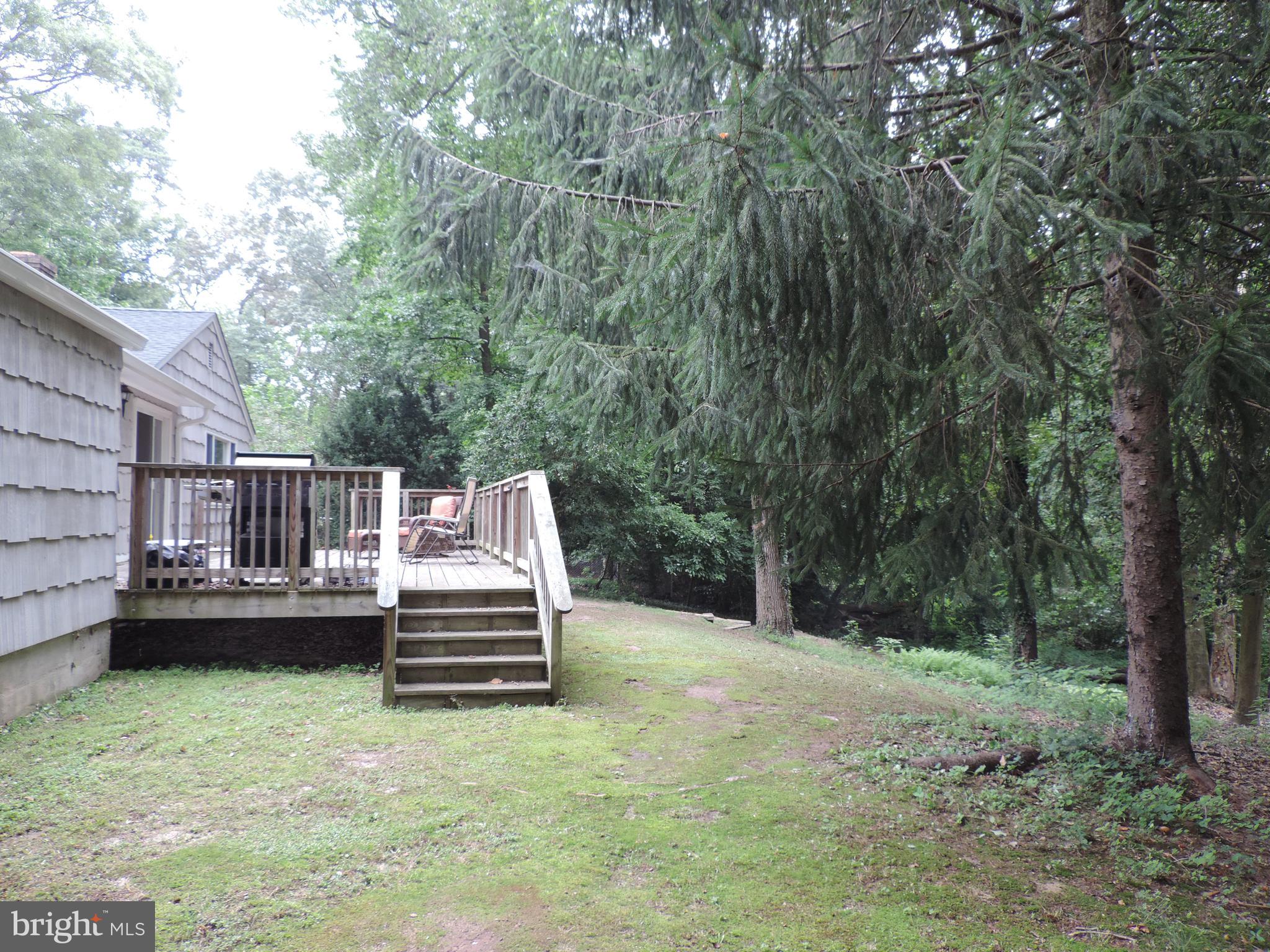 202 Tamarack Road Chestertown, MD 21620 - Photo 5 of 32 BACK YARD