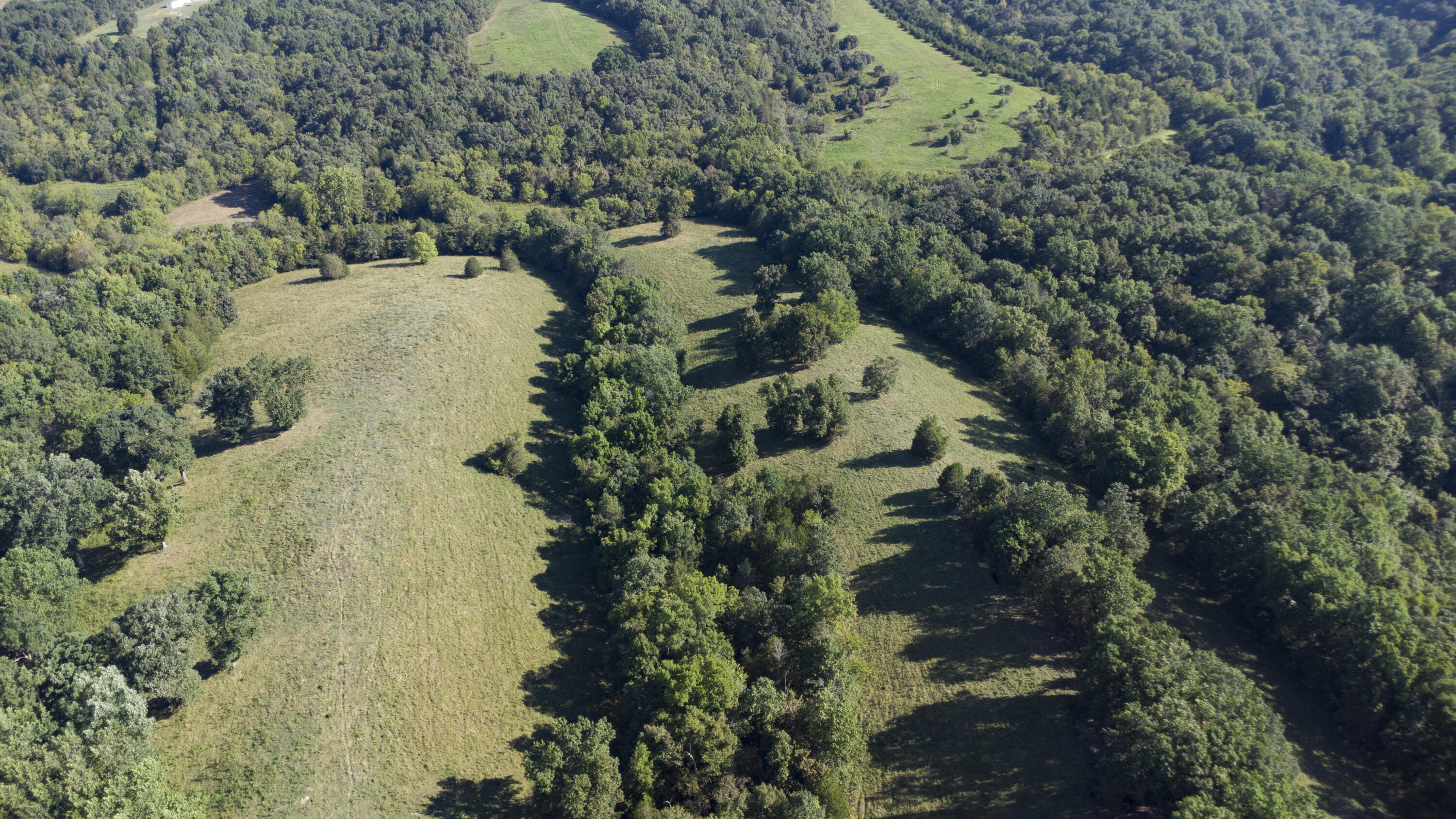 112-acres Keefer Road Corinth, KY 41010 - Photo 10 of 16 Keefer-22